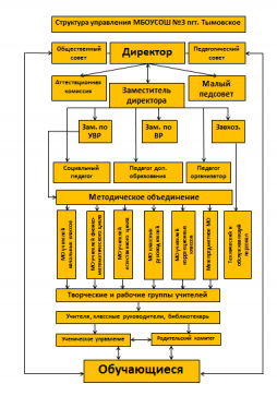 Структура и органы управления Образовательной организацией